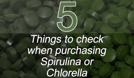 5 things to check when purchasing spirulina or chlorella