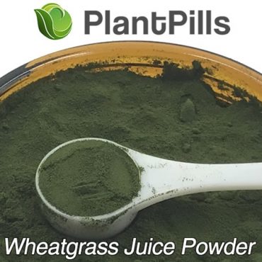 plantpills wheatgrass juice powder