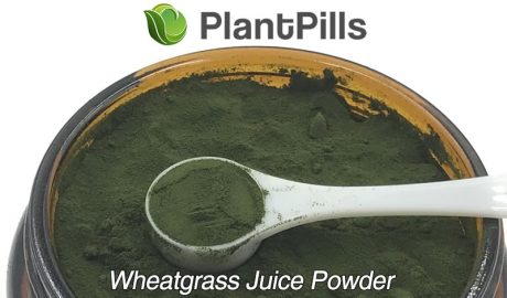 plantpills wheatgrass juice powder