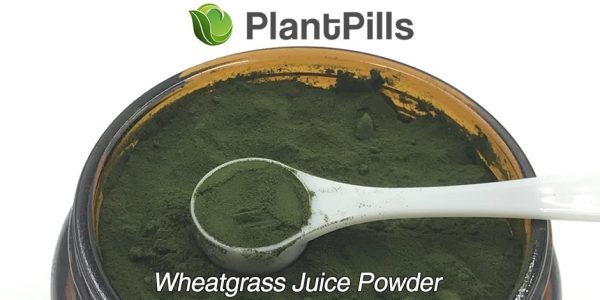 plantpills wheatgrass juice powder