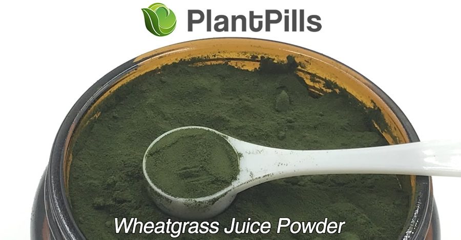 plantpills wheatgrass juice powder