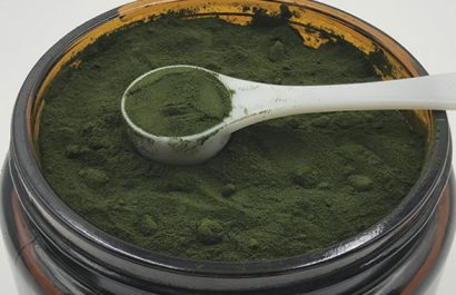 plantpills wheatgrass juice powder