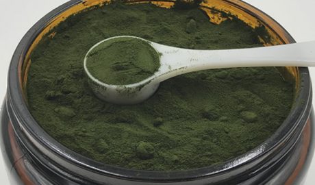 plantpills wheatgrass juice powder