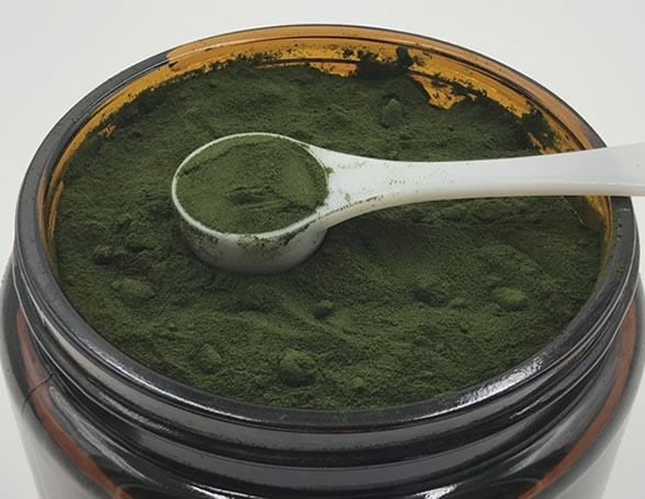 plantpills wheatgrass juice powder