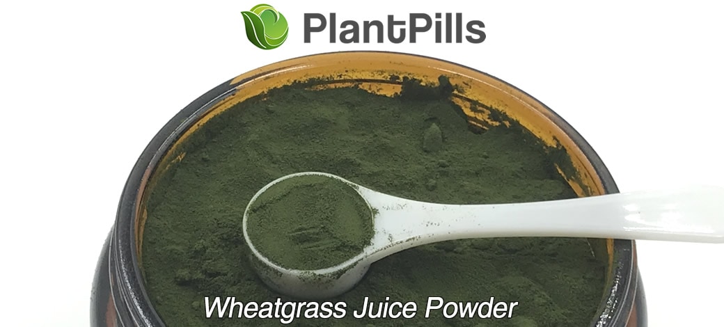 plantpills wheatgrass juice powder