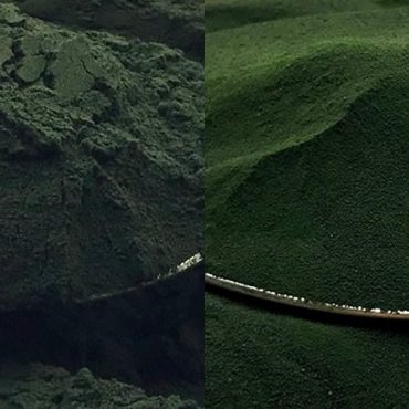 PlantPills Spirulina and Chlorella Powders