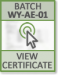 WY-AE-01